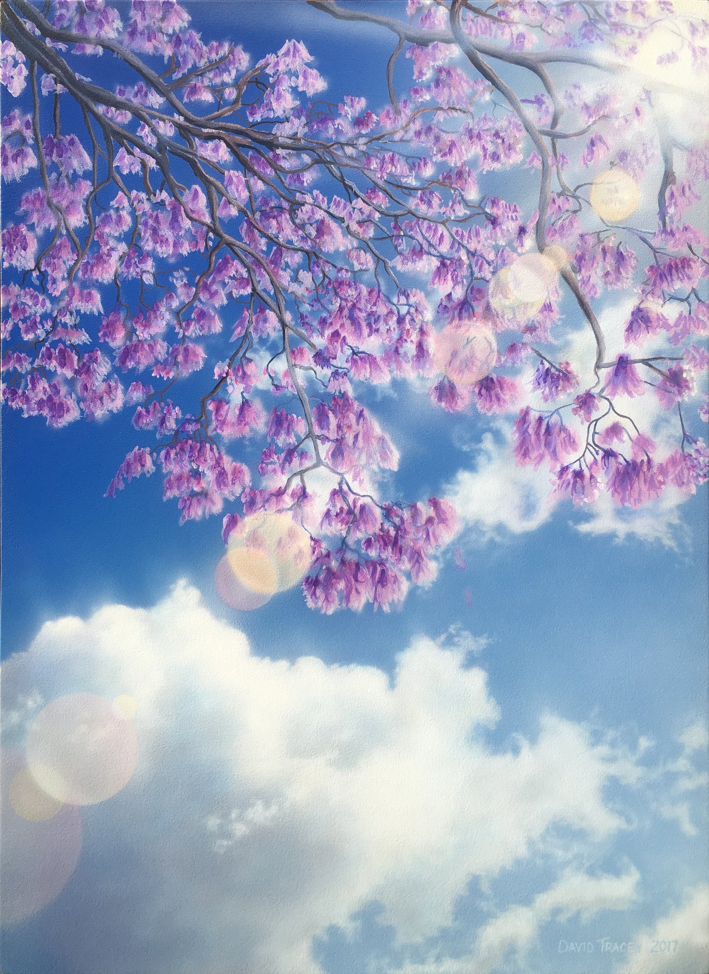 Ciel de Jacaranda (695 x 965mm)